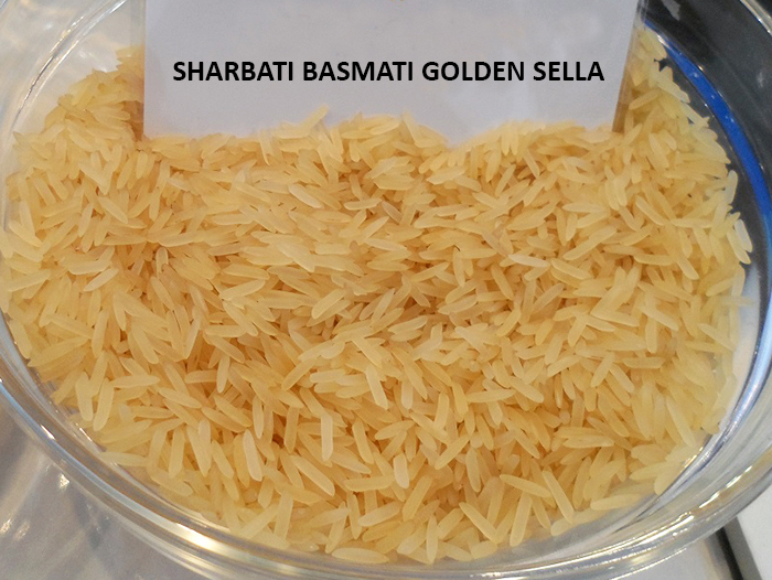 sharbati-golden