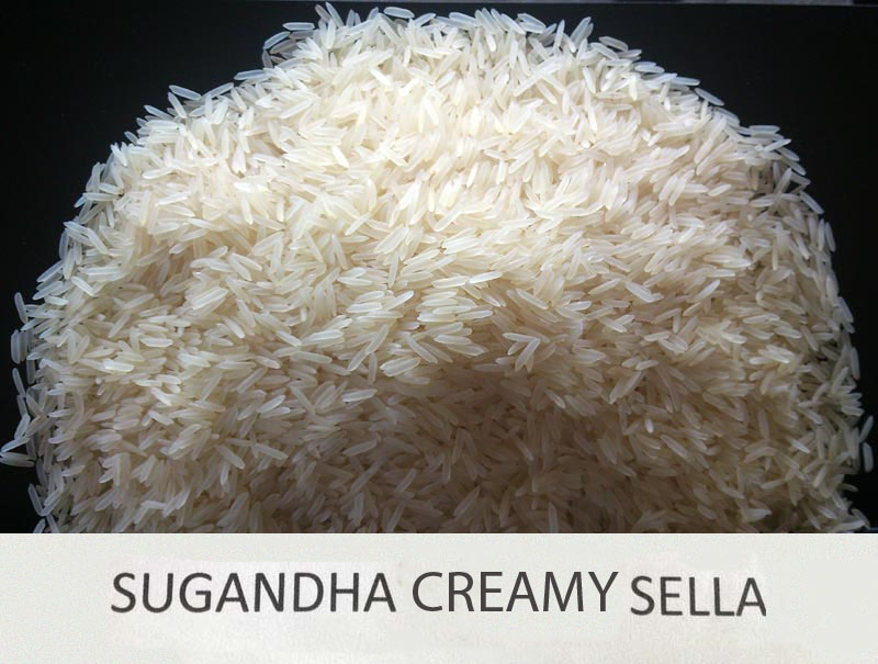 sugandha-creamy-sella