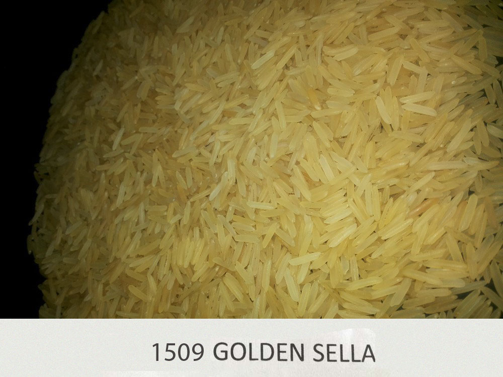 sugandha-golden-sella