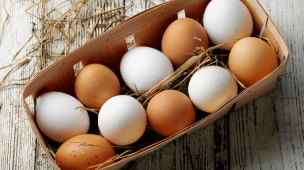 chicken-eggs