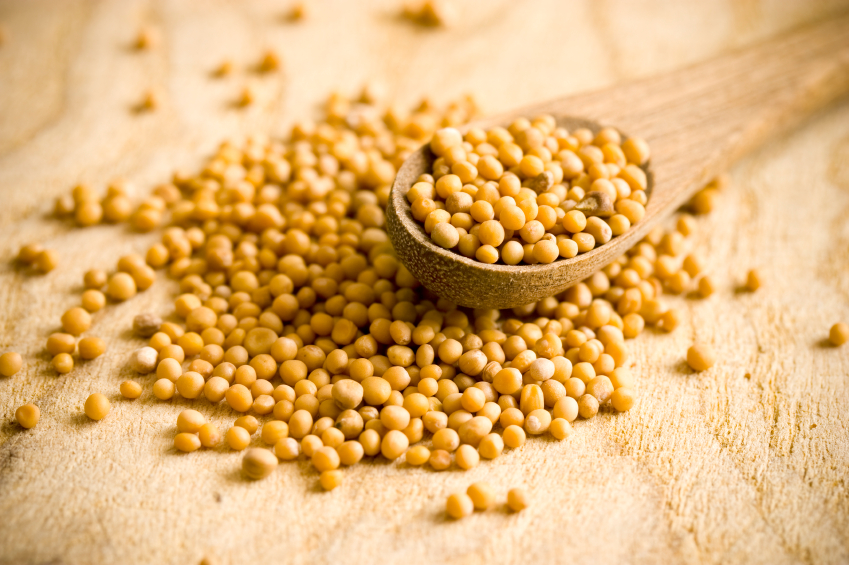 mustard-seed