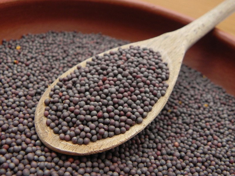 mustard-seed