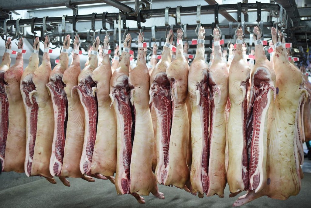 pork