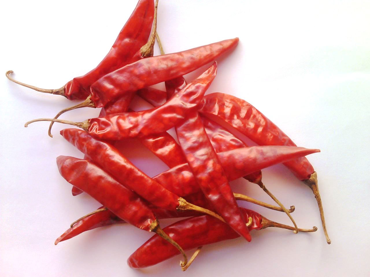 sanam-chilli