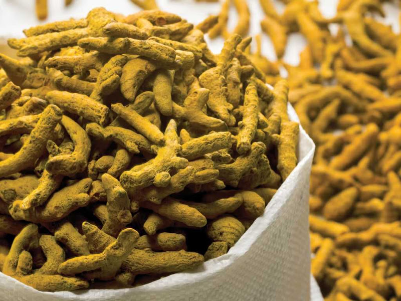 turmeric-finger-02