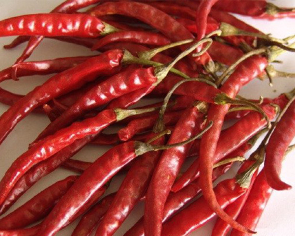 wrinkal-chilli
