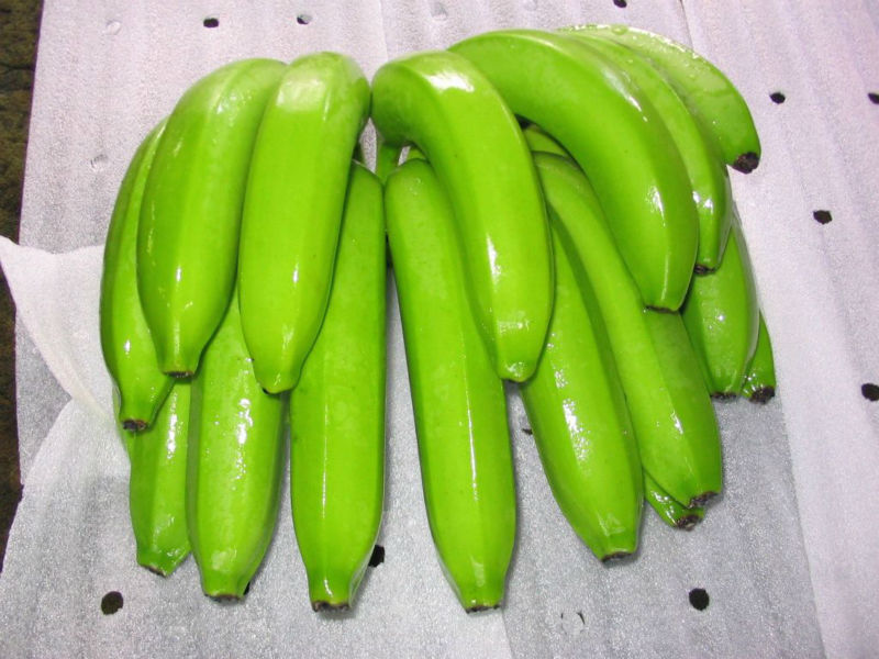 CAVENDISH BANANA DAZZ EXPORTS