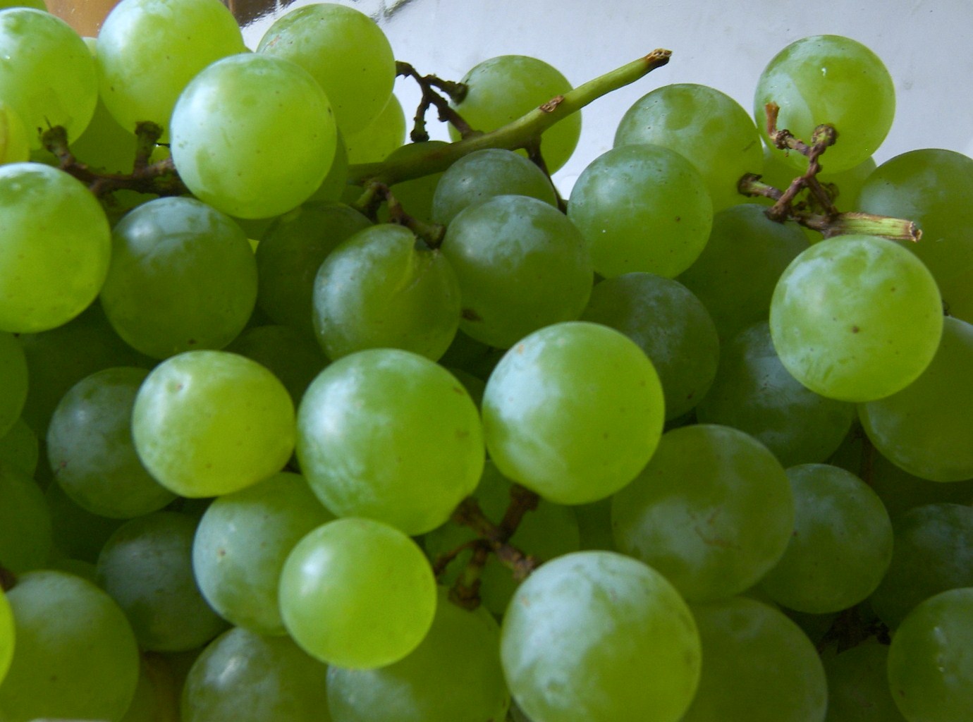 grapes-white-seedless