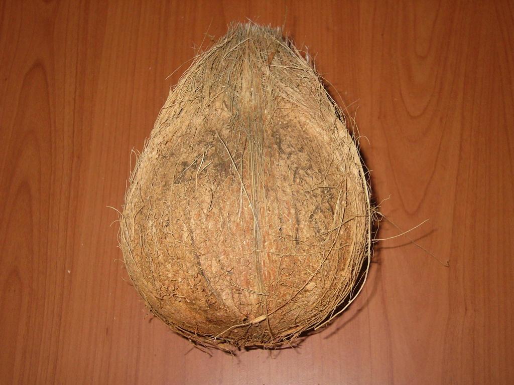 semi-husked-coconuts