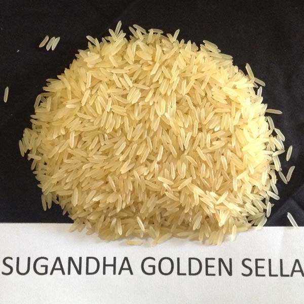 sugandha-golden-sella